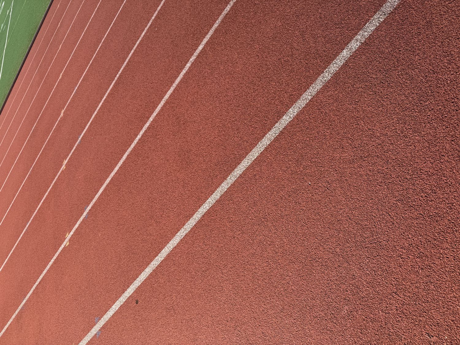 Track lane lines converging toward the infield