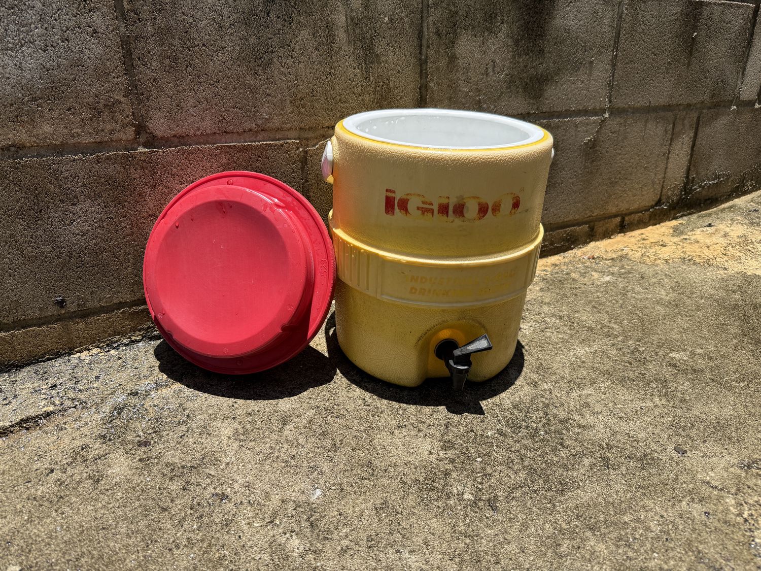 Igloo cooler with flip handle and spout