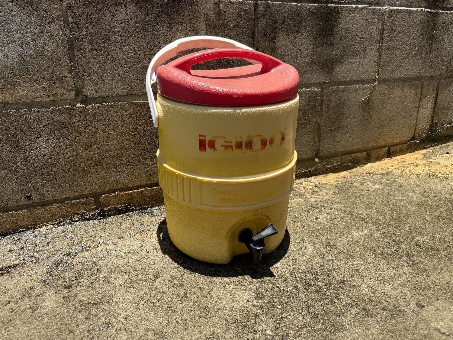 Igloo cooler with drink spout