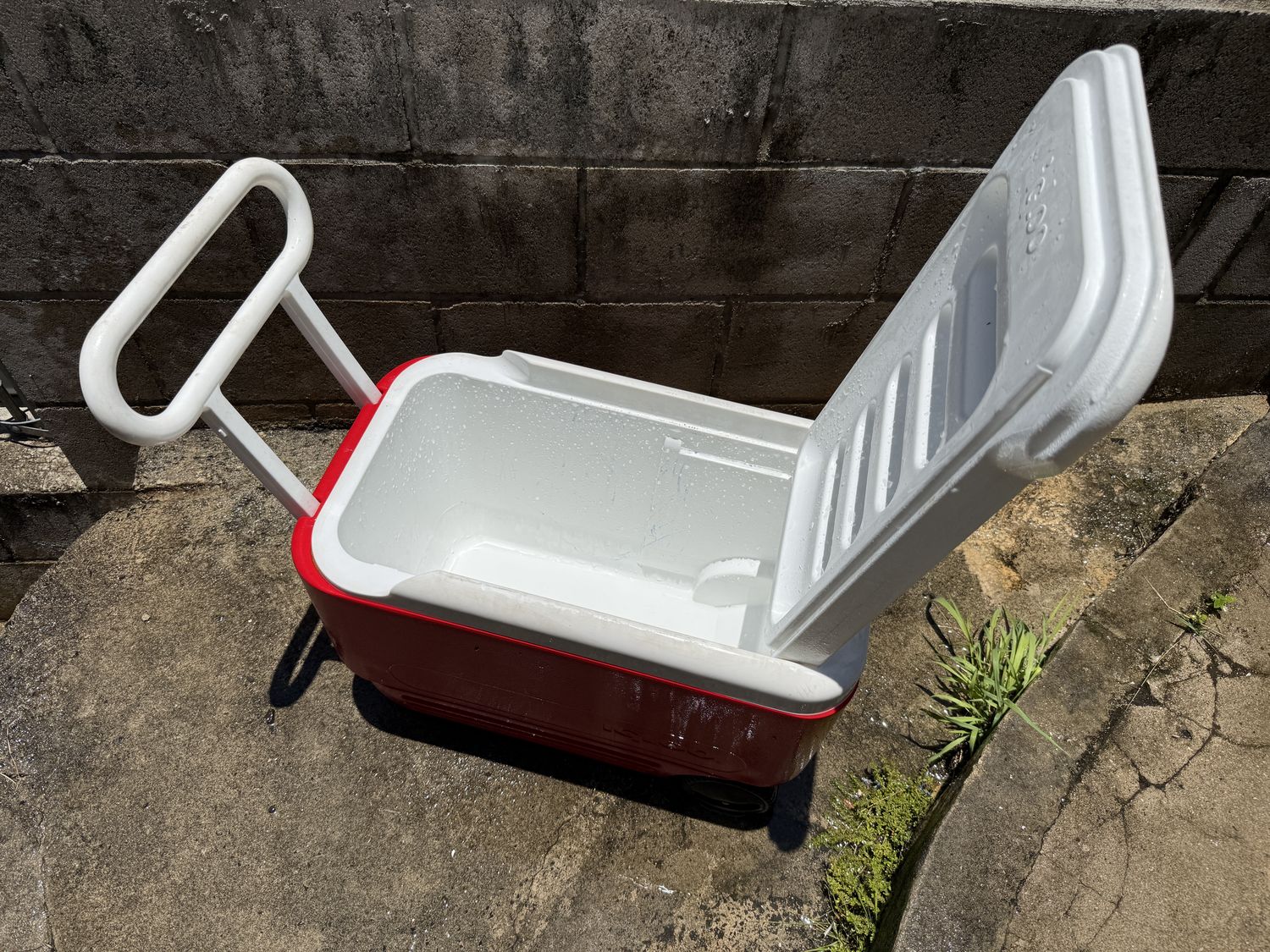 Igloo wheeled cooler open