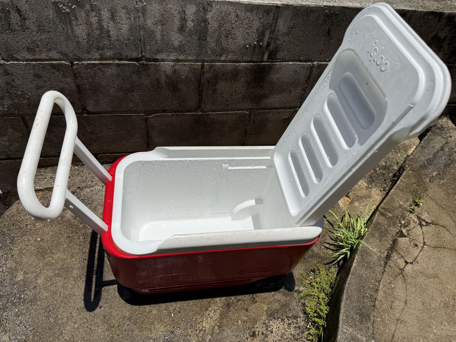 Igloo wheeled cooler inside view