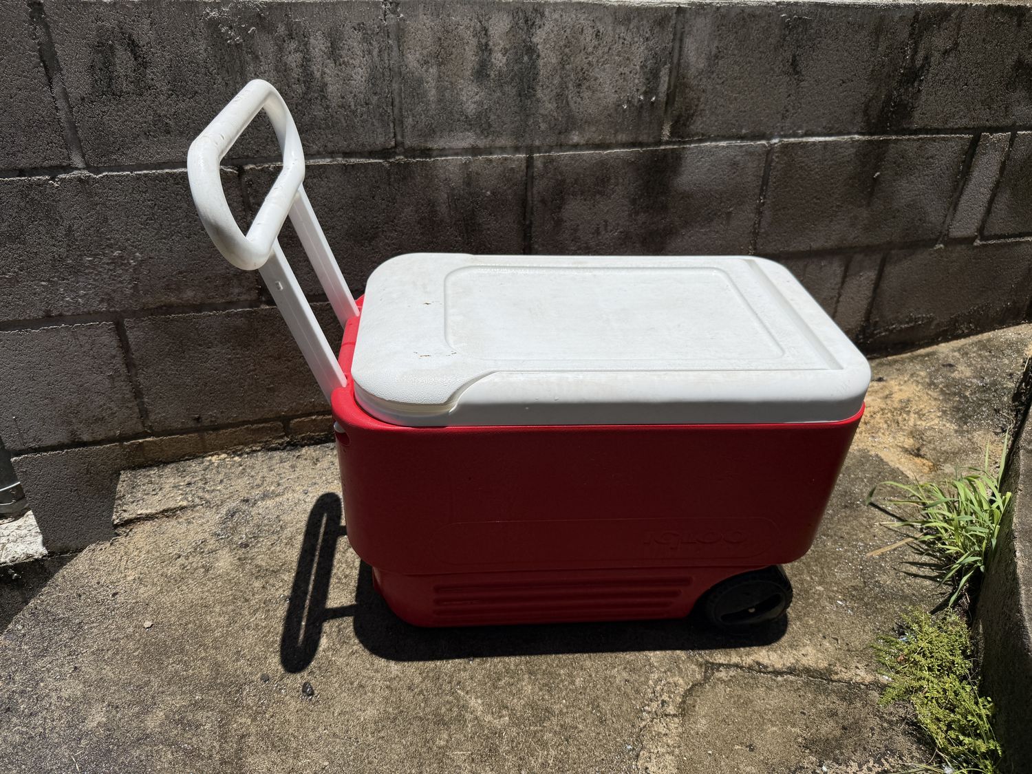 Igloo wheeled cooler for track meets