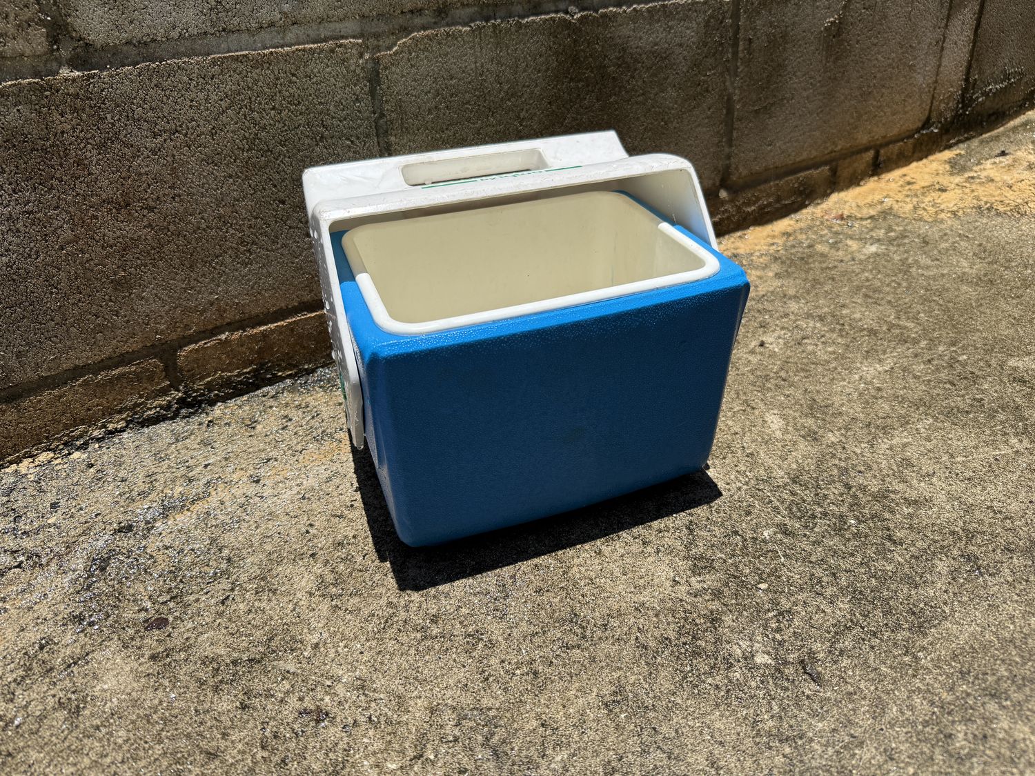 Igloo MiniMate personal cooler open