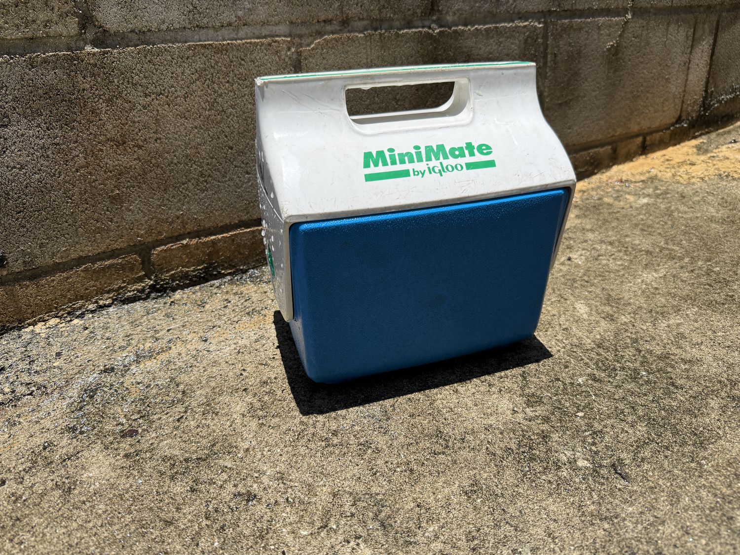 Igloo MiniMate personal cooler closed