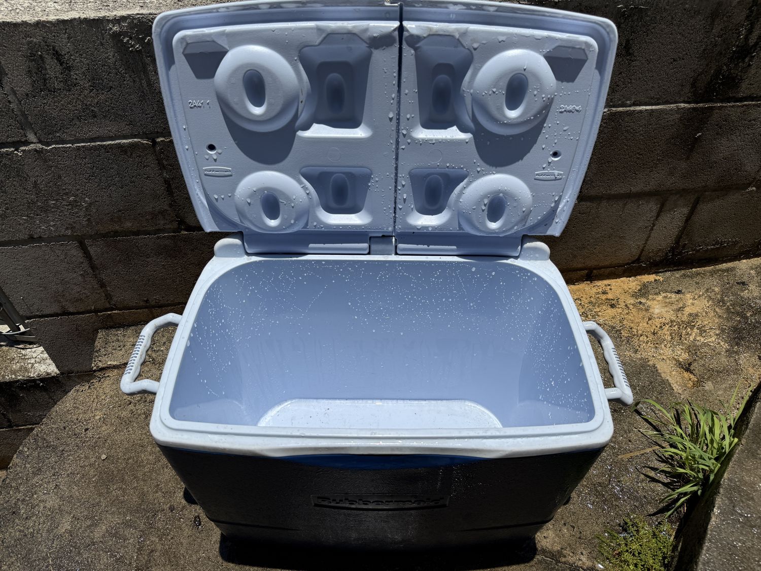 Rubbermaid cooler with dual top opened