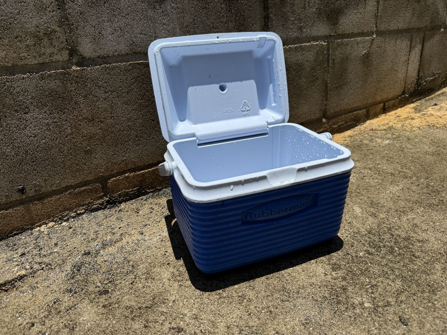 Rubbermaid personal cooler open