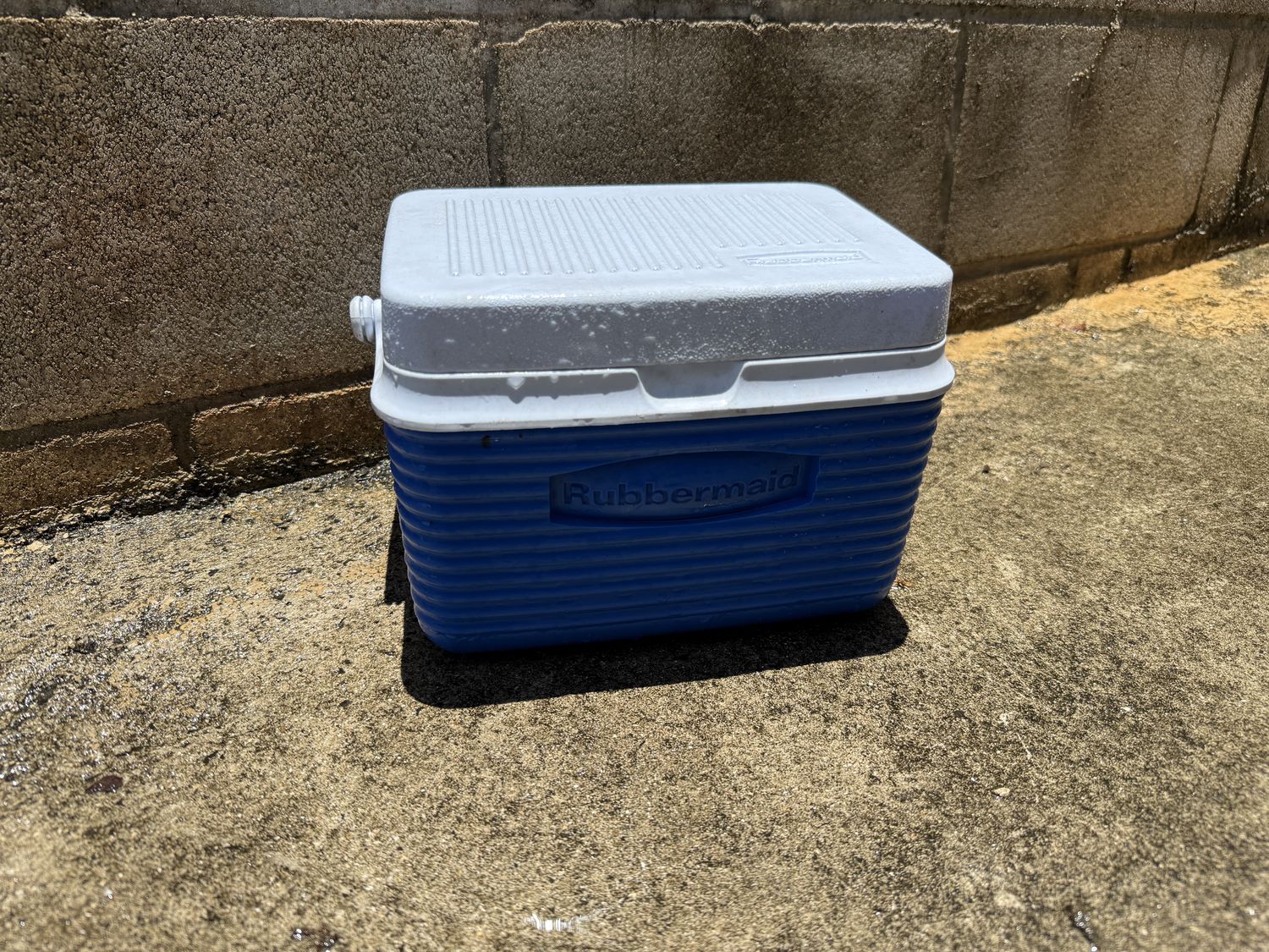 Rubbermaid personal cooler closed